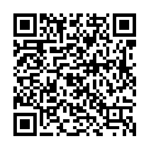 他们都不肯轻易把自己的作品拿到大赛中给人任意评价二维码生成