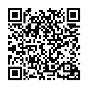 他们都不觉得这对兄弟能打得过这恐怖的杀手种族二维码生成