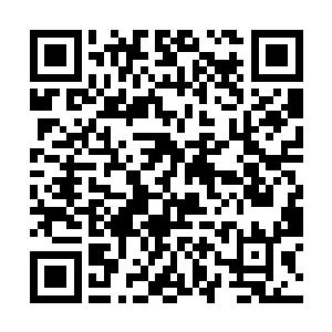 他们都是被战王门以武力降服的其他势力的圣级强者二维码生成