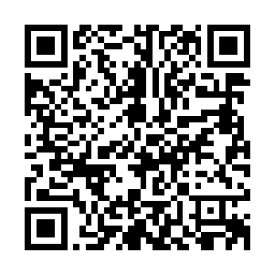 他们都隐隐地感觉到距离那些远古大能的再一次出世不会太久了二维码生成