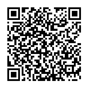 他们陶家将会联合所有被我们龟族欺负过的家族实力前來讨伐我们二维码生成