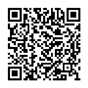 他们随着女仆小眉一起回到了王老板的那座老屋二维码生成