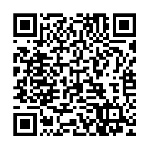 他仿佛看到了自己手中的盘蛇血刃之中又要多出一条新鲜的亡魂二维码生成