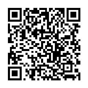 他仿佛笑了一下――表情依然是那么呆呆傻傻的样子二维码生成