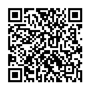 他何必操心丢不上来蠢蠢会被pia在石壁上会不会被砸死~二维码生成