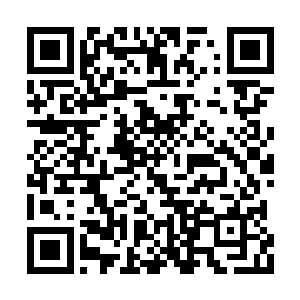 他作为一个老师却对全班学生除萧摇外进行谄媚二维码生成