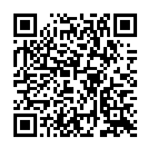 他依然觉得其实拍沐扬带十万兵马去是完全没有意义的二维码生成