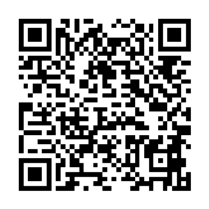 他侧头凝视着正专注认真的从死刑犯腿上取筋的洛倾婉二维码生成