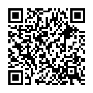 他便冷着一张脸用白纱把她脖子以下的部位用白纱包裹了起来二维码生成