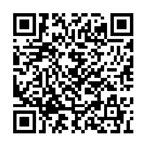 他倒也不介意去龙马河公园再见见萧强的可怜样二维码生成