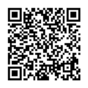 他倒也不执着于给兽人下禁制两者的重要性相比二维码生成