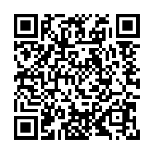 他倒是要看看这个诸葛王朗究竟想要怎么救自己二维码生成