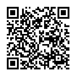 他倒没想到千叶佳子还真召唤出了一个很强大的式神二维码生成