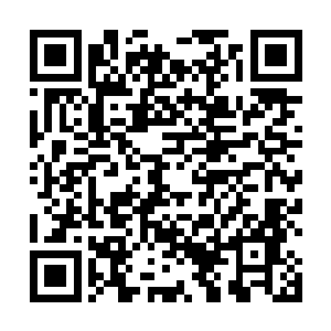 他倒要看看这个所谓的千幻洞府之中究竟有些什么东西二维码生成