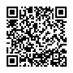 他偶尔会随着师兄去镇外那片云雾深处的孤峰里采药二维码生成