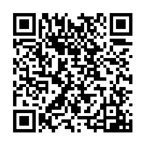 他儿子怎么可能和危害国家安全拉上一丁点的关系二维码生成