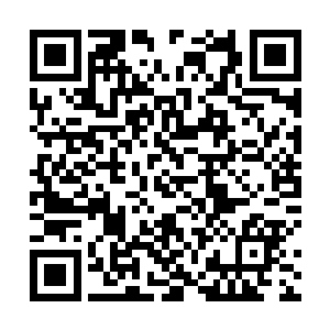 他全身上面除了那块手表之外好像就没有其他的长物了二维码生成