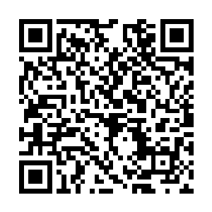 他全身都在大火之中焚烧……最后化作了飞灰……二维码生成