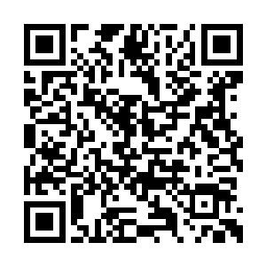 他其实也只是去年在西陵见过墨修尧和叶璃一回二维码生成