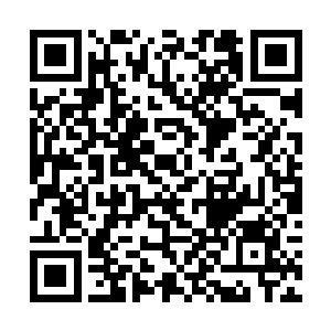 他其实应该选择双倍人渣值免除惩罚的那个奖励选项二维码生成