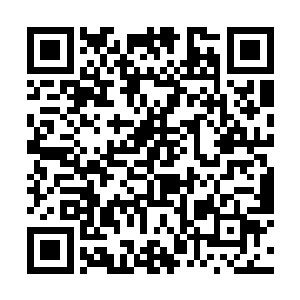他再次内视观察灵玉的时候又发现了一个异常的情况二维码生成