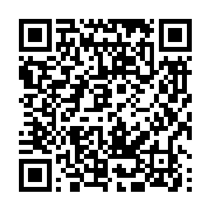 他冥冥之中感觉到屠龙士所说的神秘龙族应该不是金龙二维码生成