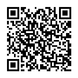 他冷淡而干练的声音让她稍稍找回了平时熟悉而安心的绝望感二维码生成