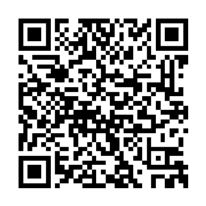 他准备了不少生活品原本是准备独自过个肥年呢二维码生成