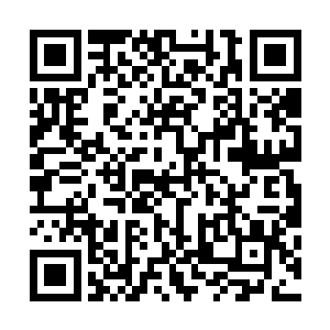 他几乎不相信说出这一番话的竟是他从小就疼爱着的外甥女二维码生成