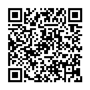 他几乎可以确定眼前的这个瑞雯绝不是什么生手二维码生成