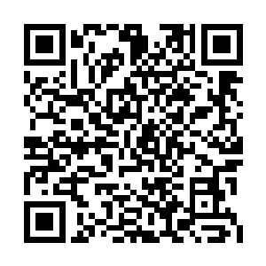 他几乎要踮着脚才能把枪抵在郎霆烈的太阳穴上二维码生成
