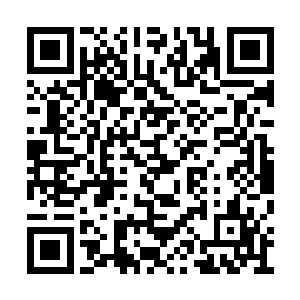 他刚才又想到幻盟大长老幻化的杨柔和杨林两个二维码生成