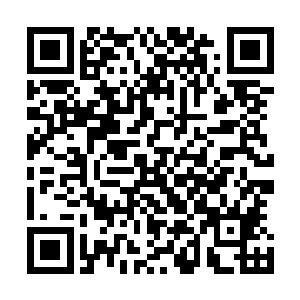 他刚才在地底的时候已经知道杨家修士对于许紫烟有着杀意二维码生成
