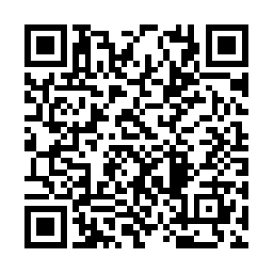 他刚才扔出去打算试试水的十万筹码直接翻了十倍二维码生成