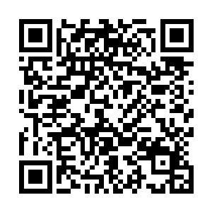 他刚才来这里的时候也感觉这山上有不少十二阶妖兽的气息二维码生成