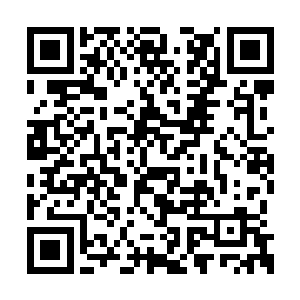 他刚才骂叶风声的那些话不就落到自己身上了吗二维码生成