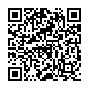 他即使和汤姆一克鲁斯一起出现在红地毯上也有比拼的资格二维码生成