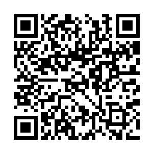 他却也很吃味这小家伙时时刻刻都呆在夜染的身边二维码生成