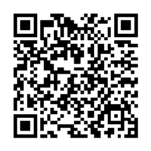 他却从白玉口中得知东临嫣雪的九大扈从名额已经确定二维码生成