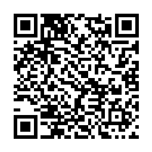 他却忍不住在想如果是弗莱站在几万人的棒球场上二维码生成