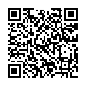他却是误打误撞的闯入了一个刚刚凝聚妖丹的虎妖领地二维码生成