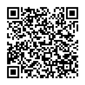 他原以为能有勇气冒着生命危险来告御状的人定是五大三粗的汉子二维码生成