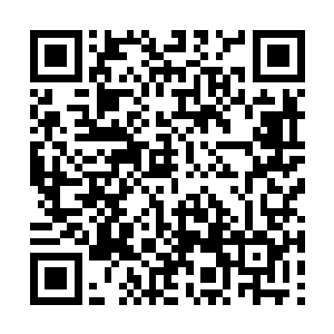 他原有的这些股份自然就要被他这些儿孙给继承了二维码生成