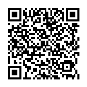 他原本也没抱希望叶玥能在墨修尧手下撑住不招二维码生成