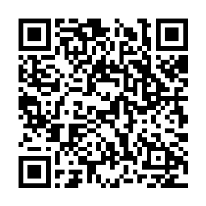 他原本以为今晚的动静是魔后强闯皇宫被右相拦截二维码生成
