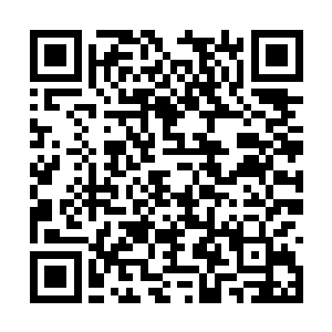 他原本应该参加今天上午的乡镇党委委员公开招考二维码生成