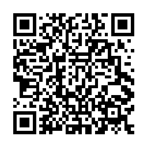 他原本认为自己这次终于可以给七公子找几个有潜力的手下了二维码生成
