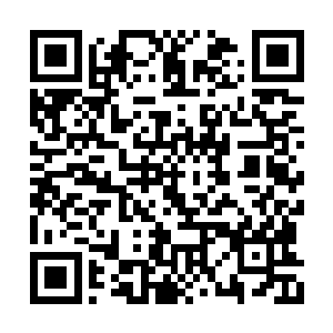他发现在许紫烟的身上竟然没有丝毫的防御装备二维码生成