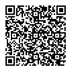 他发现木云婷的容貌就算是比起沅州第一美女圣庭四大美女之一的白雨柔也是丝毫不差二维码生成