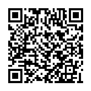 他发现湖面上反射出来的风奇泽的倒影有些奇怪二维码生成